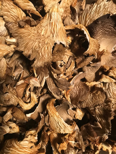 Dried Hiratake mushrooms. Grown by Amara mushrooms in Western Australia using sustainable methods and strict food saftey procedures
